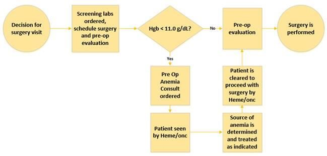 Figure 3 PreOp Consult Workflow